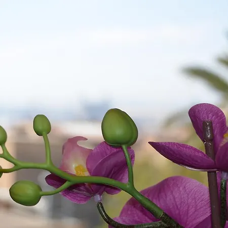 Apartsuits Rambla Nova 24 Apartmán Tarragona